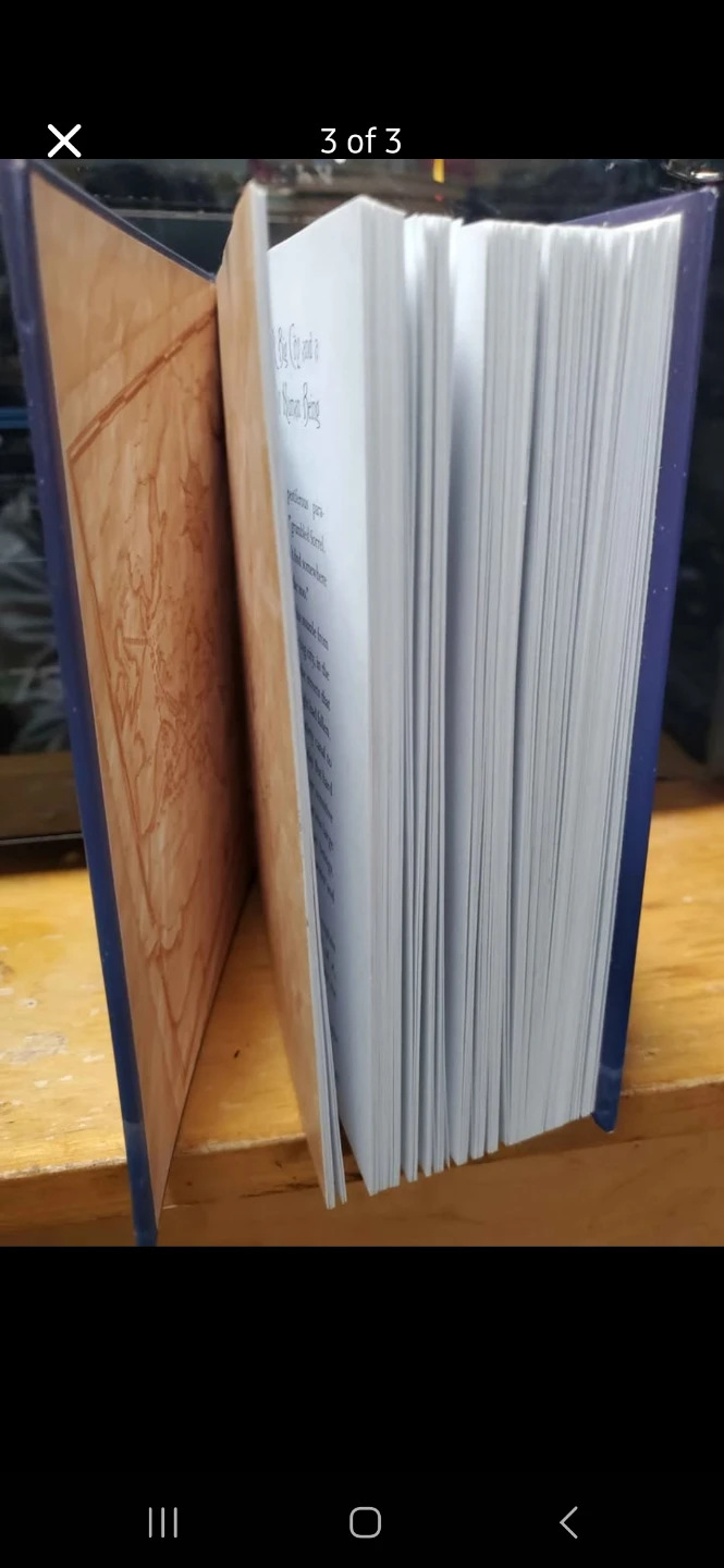 Hard Cover Dragon Rider by Cornelia Funke - photo 3