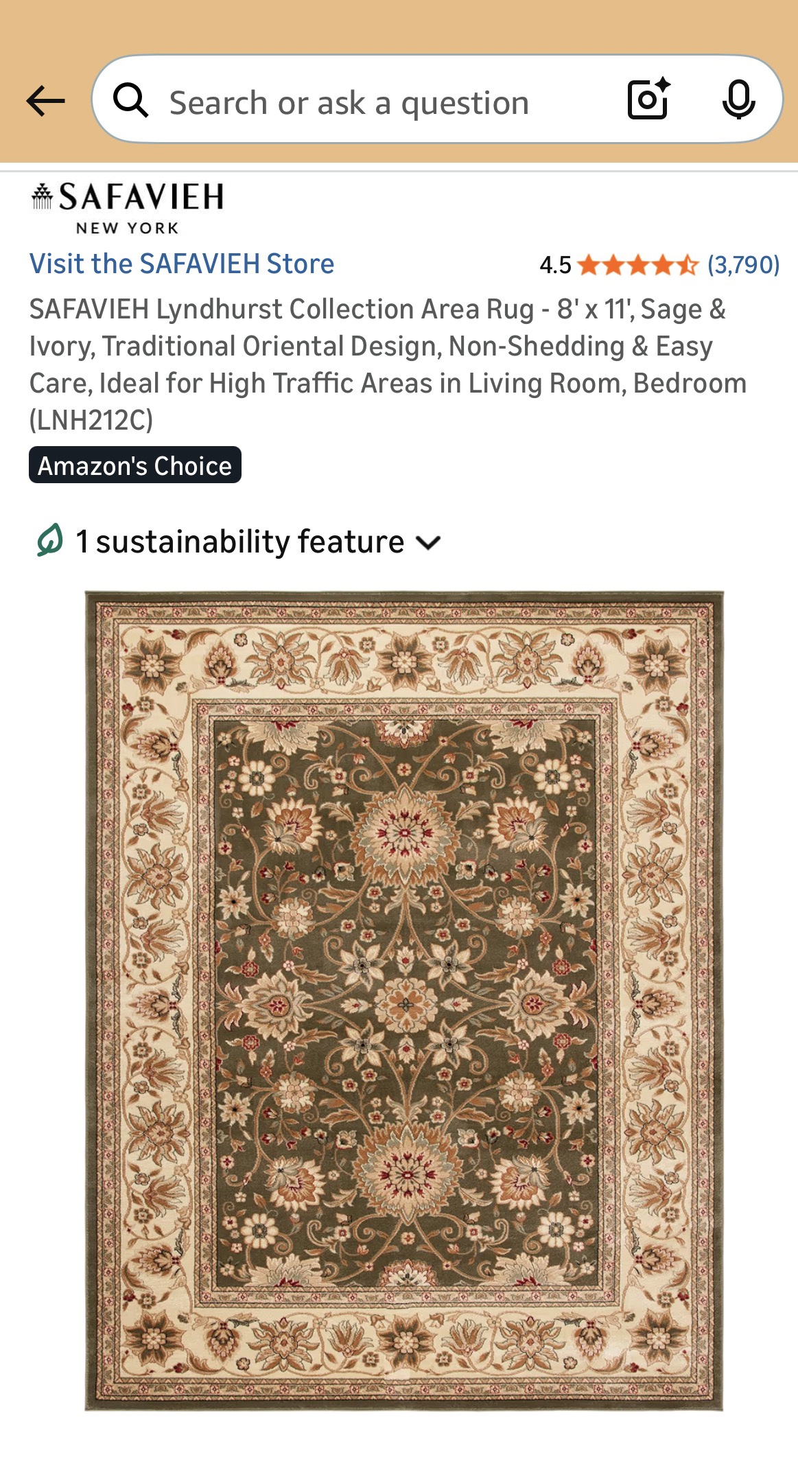 Area Rug - photo 3
