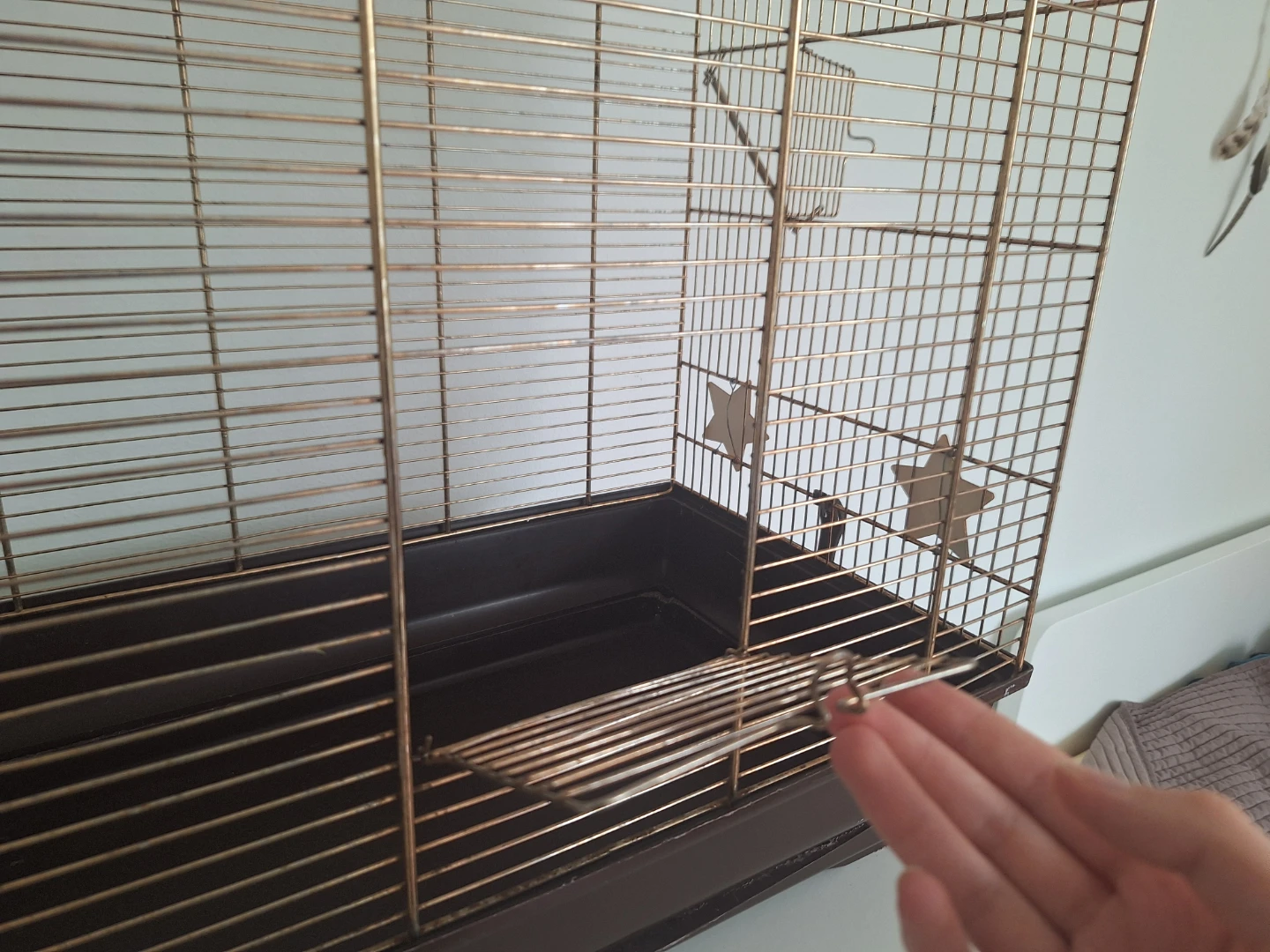 Medium BIRD cage - photo 3
