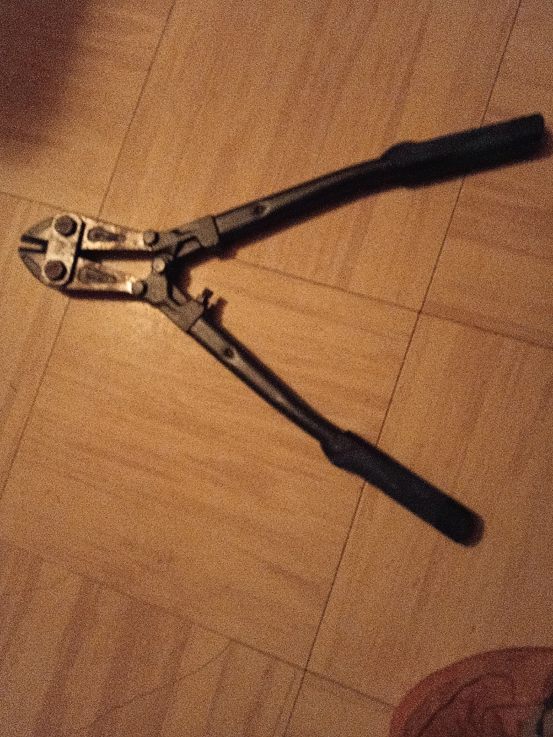 Bolt Cutters