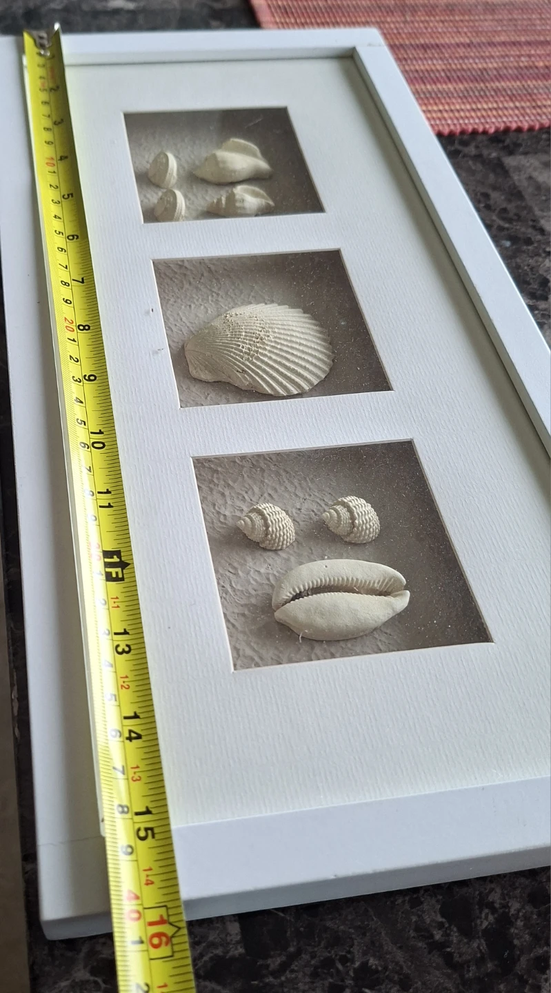 Framed Seashell Art - photo 2