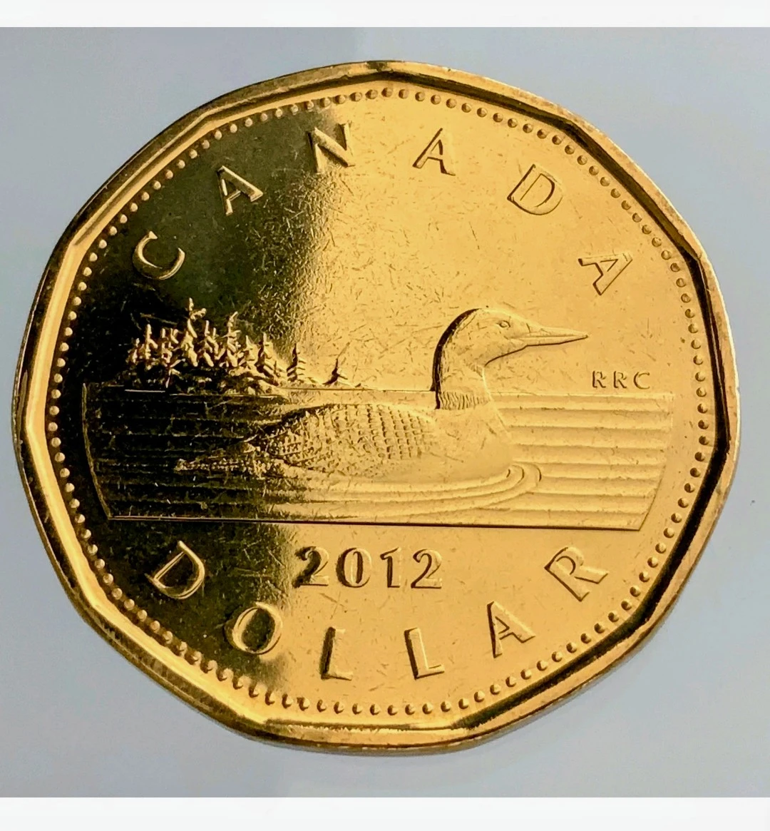 2012 Canada Loonie Dollar rare Coin