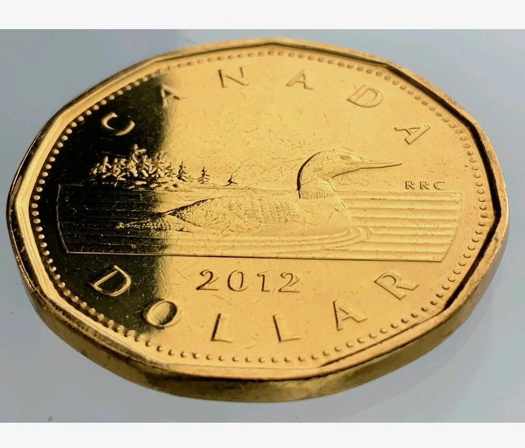 2012 Canada Loonie Dollar rare Coin - photo 3