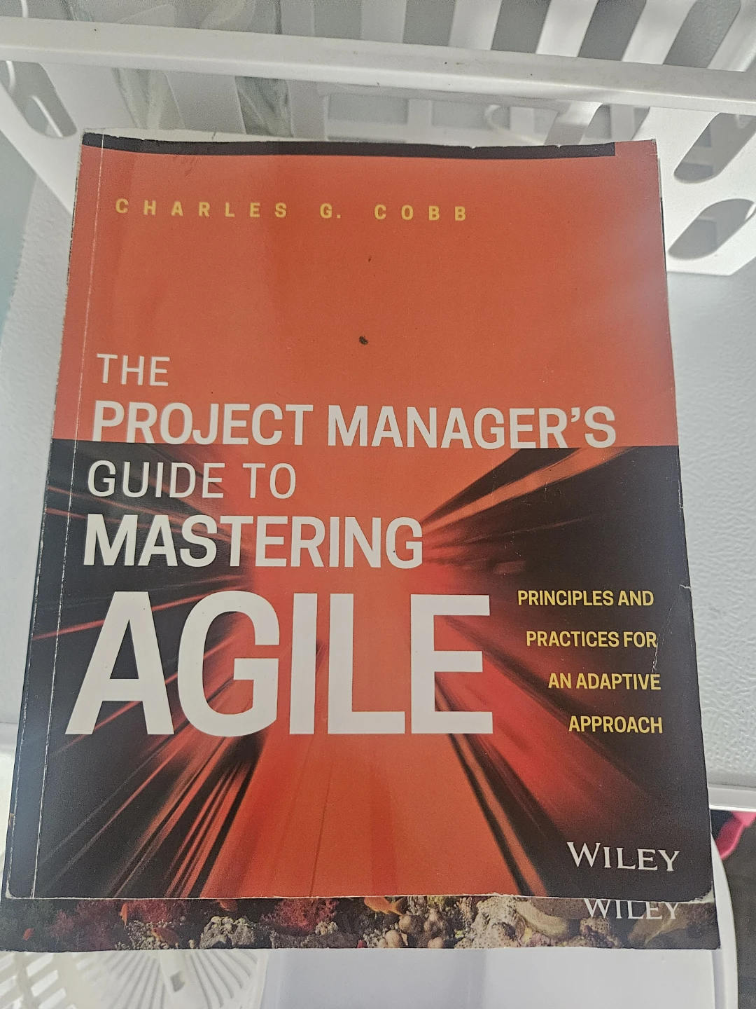 Project managers book