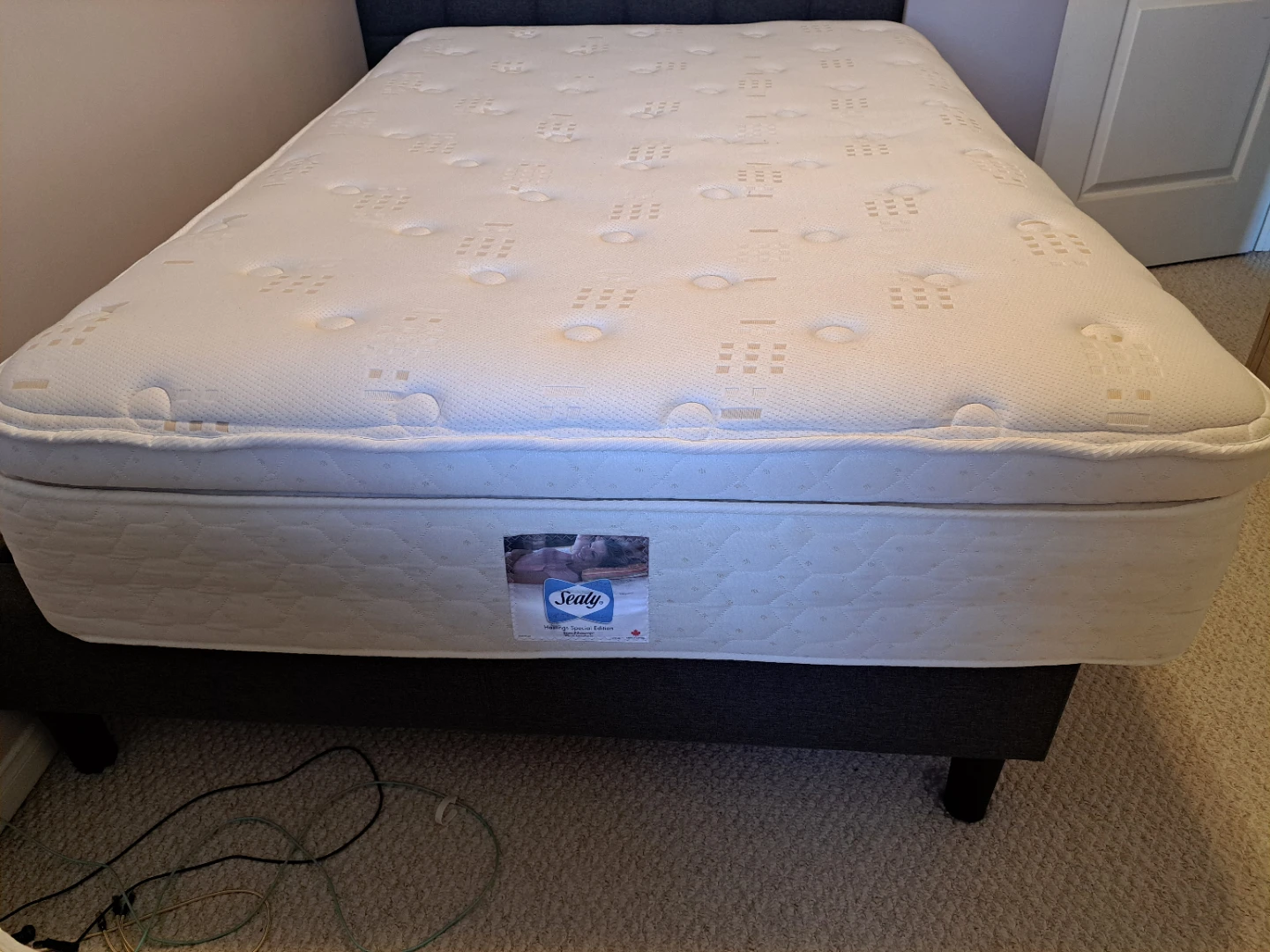 Sealy Double size Mattress