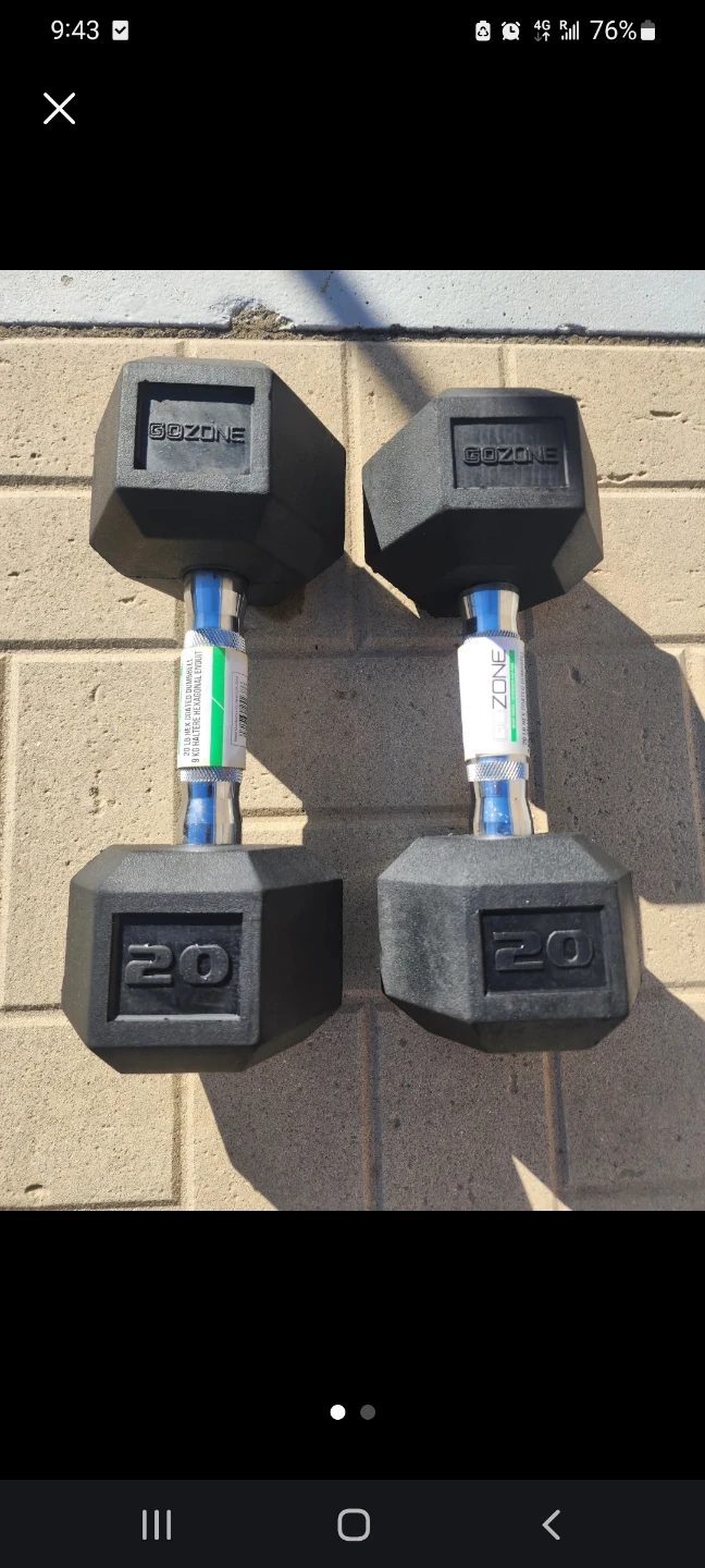 GoZone 20 lb Hex Dumbbells (Pair)
