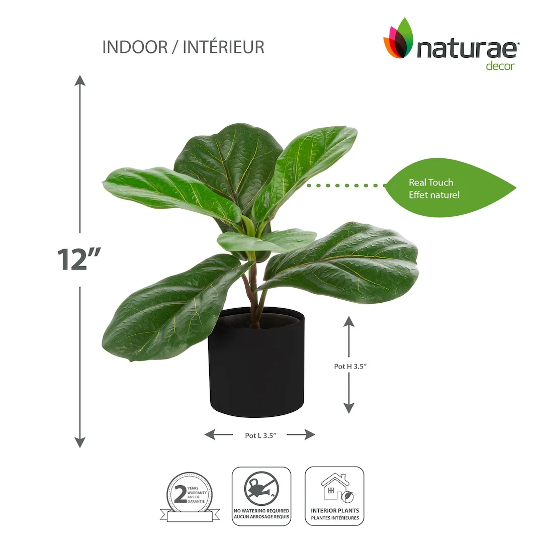 Naturae Décor 12" Artificial Fiddle Leaf Plant in Black Pot - photo 2