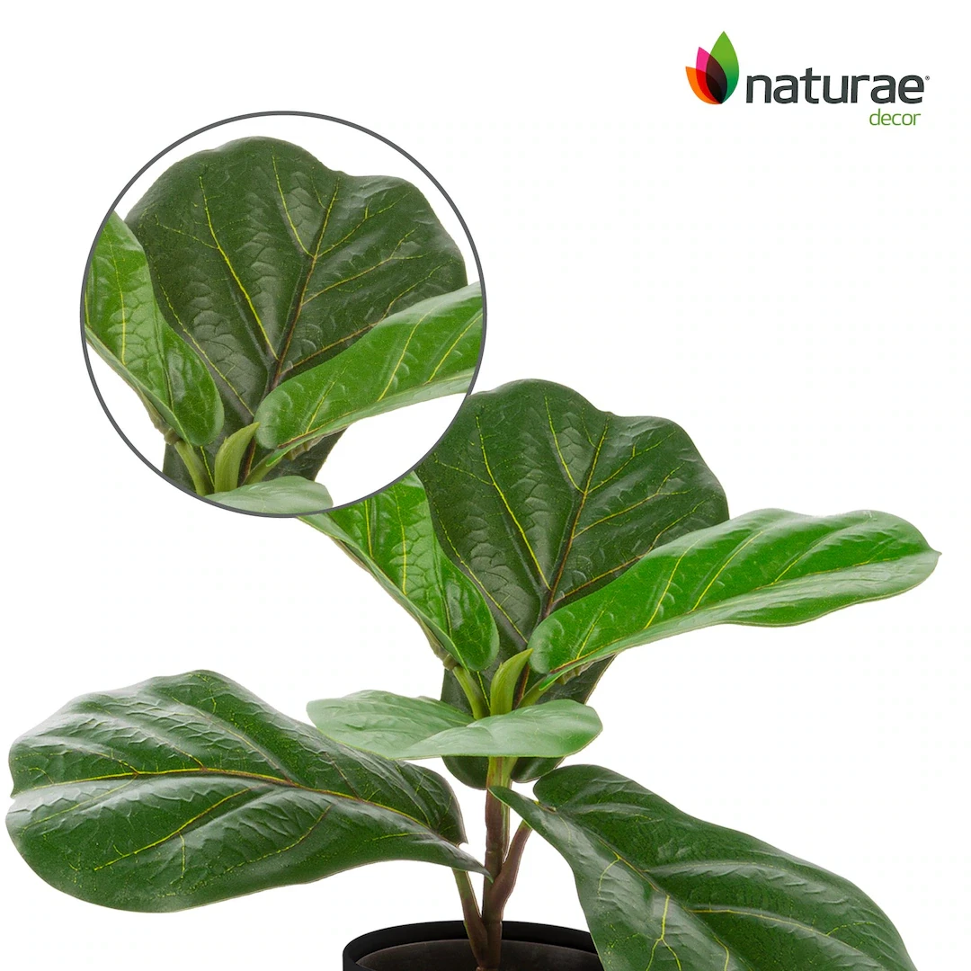 Naturae Décor 12" Artificial Fiddle Leaf Plant in Black Pot - photo 3