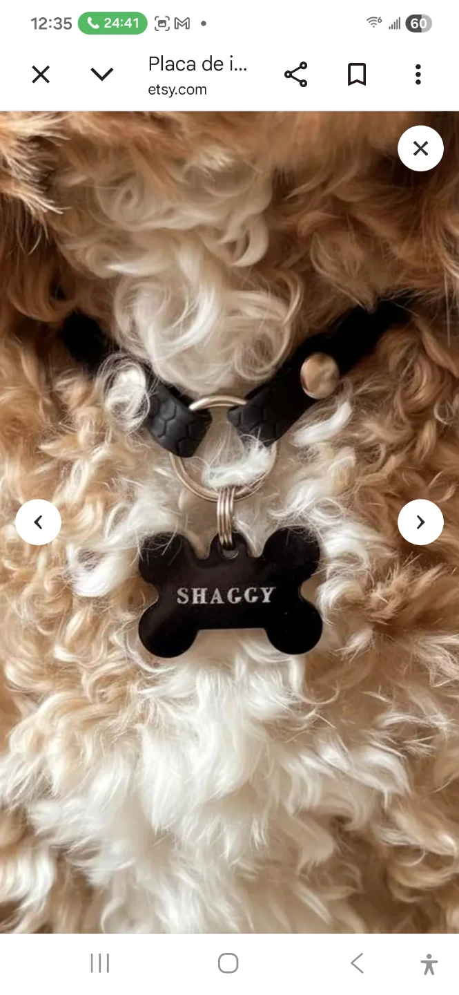 Customizable Dog Pet ID Tag Bone Shape