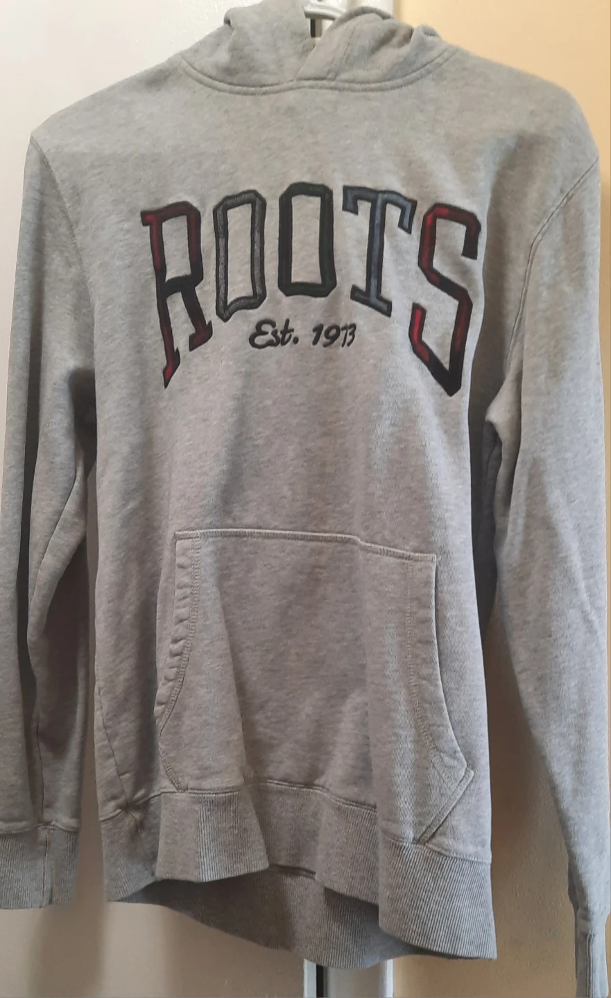 Roots Hoodie - Grey - XS/TP - photo 4