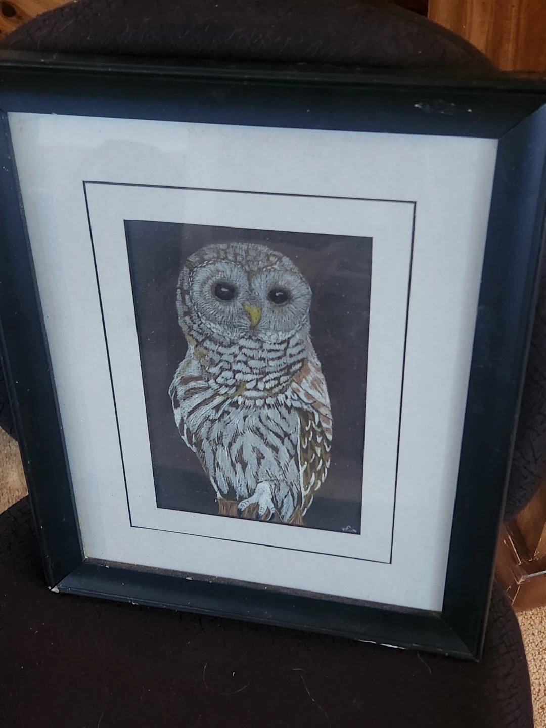 Framed Barn Owl Original Art