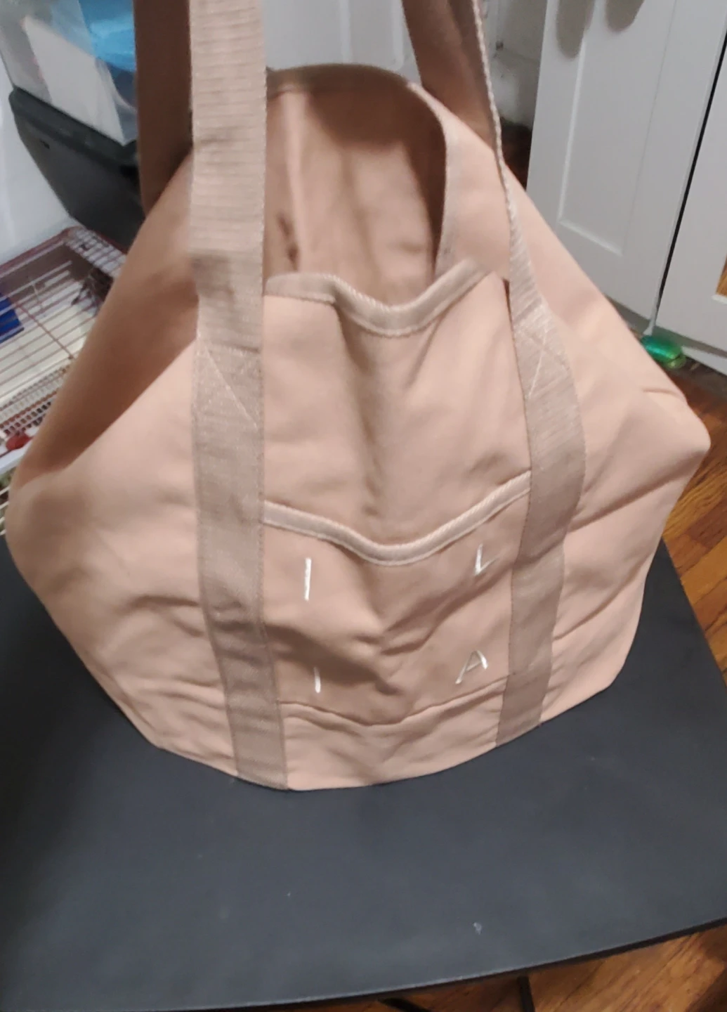 ILIA Pink Canvas Tote Bag & samples - photo 2