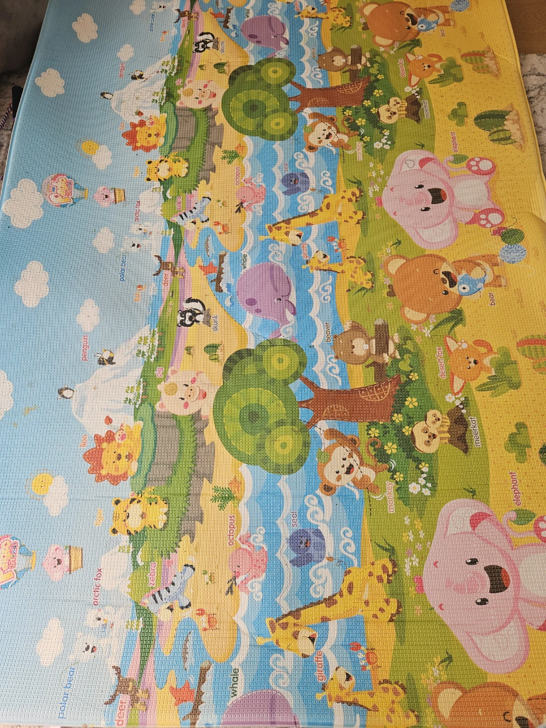 Double Sided Play Mat