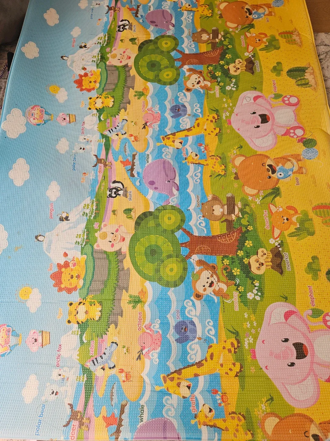Double Sided Play Mat