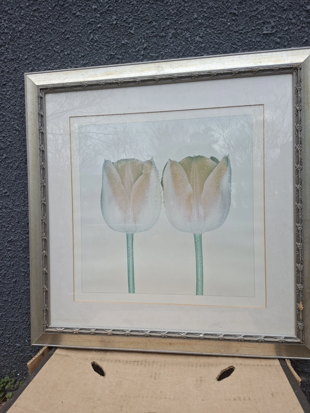 Framed Print of Two Tulips with Water Droplets - photo 2