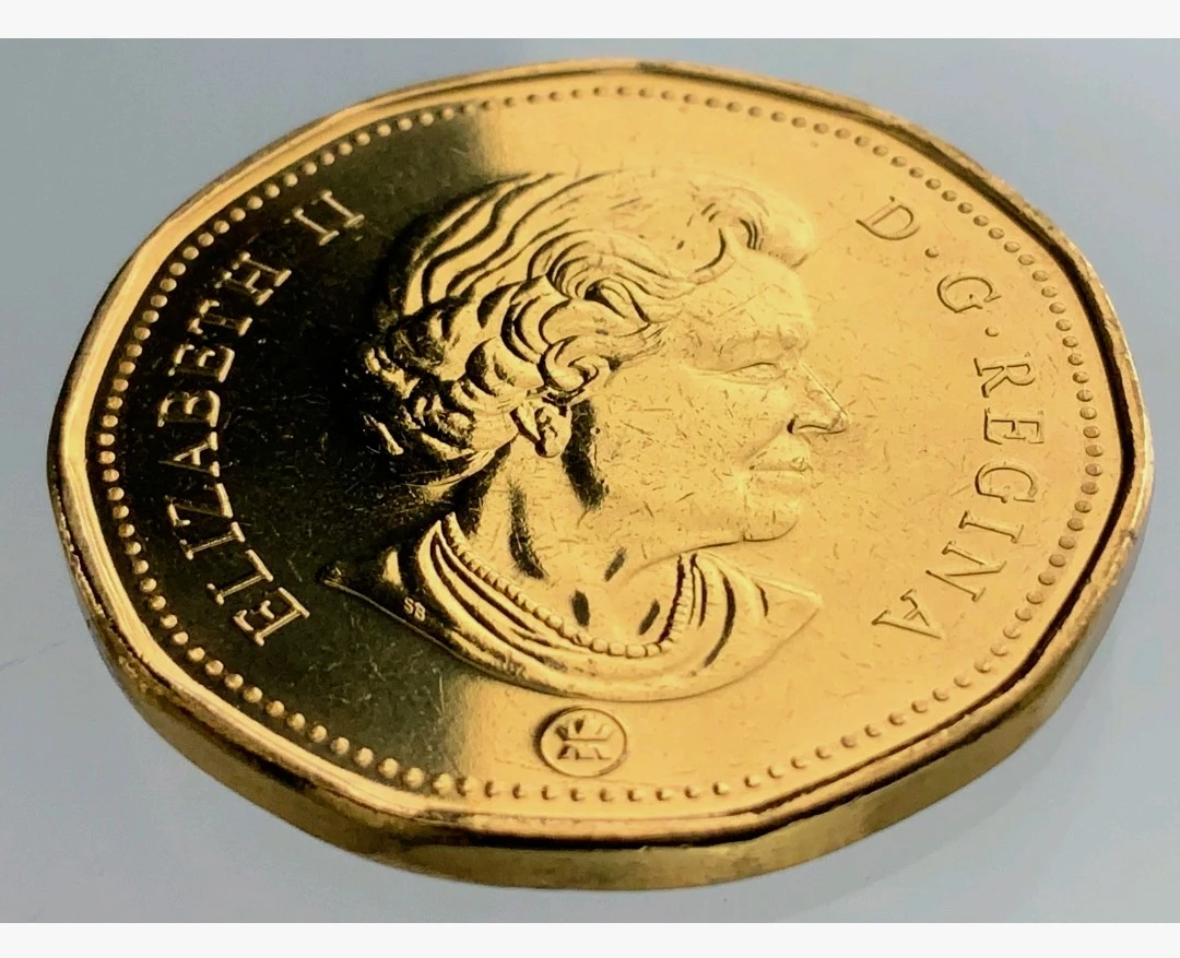 2012 Canada Loonie Dollar rare Coin - photo 4