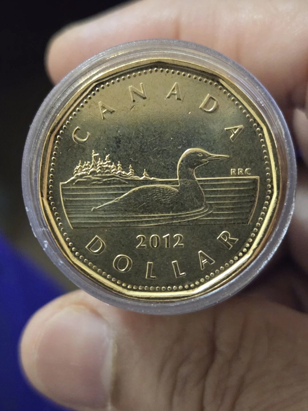 2012 Canada Loonie Dollar rare Coin - photo 5