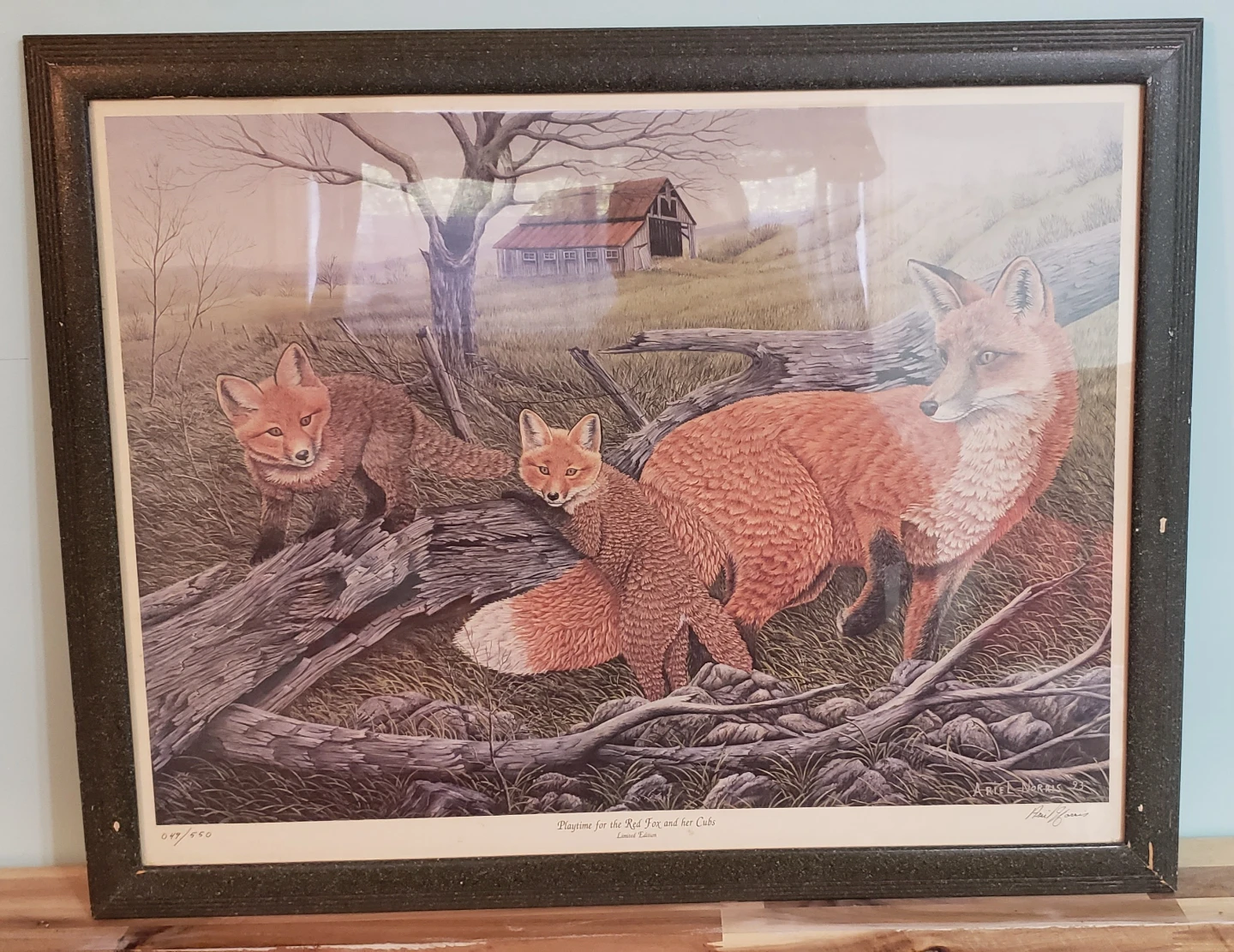 Framed Art Prints - Winter Wildlife & Scenic Landscapes - photo 4