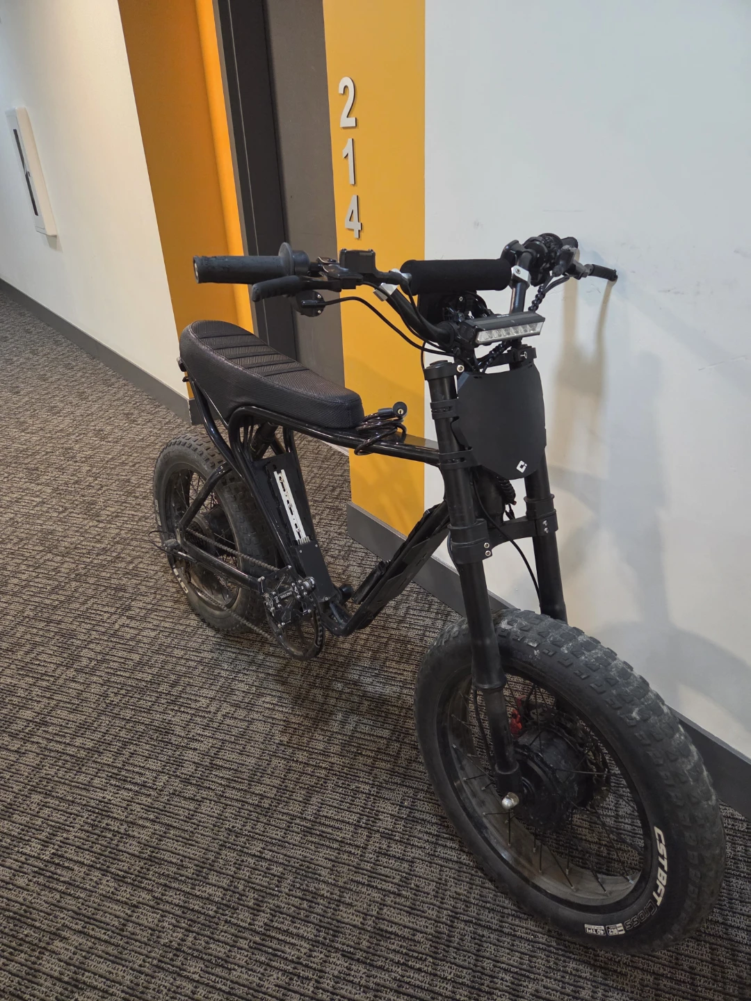 Ebike (ridstar q20 pro)