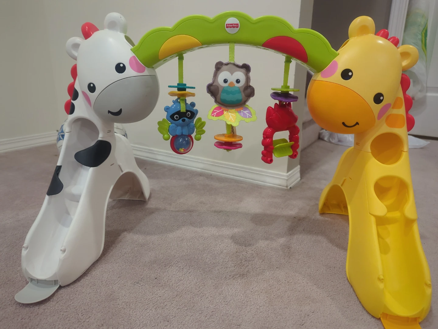 Baby play bridge