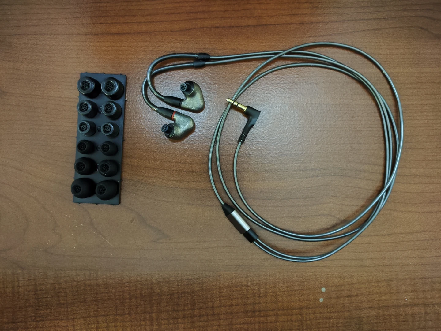 Sennheiser IE 600 In-Ear Headphones with Accessories