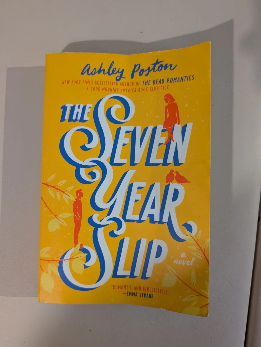 The Seven Year Slip by Ashley Poston