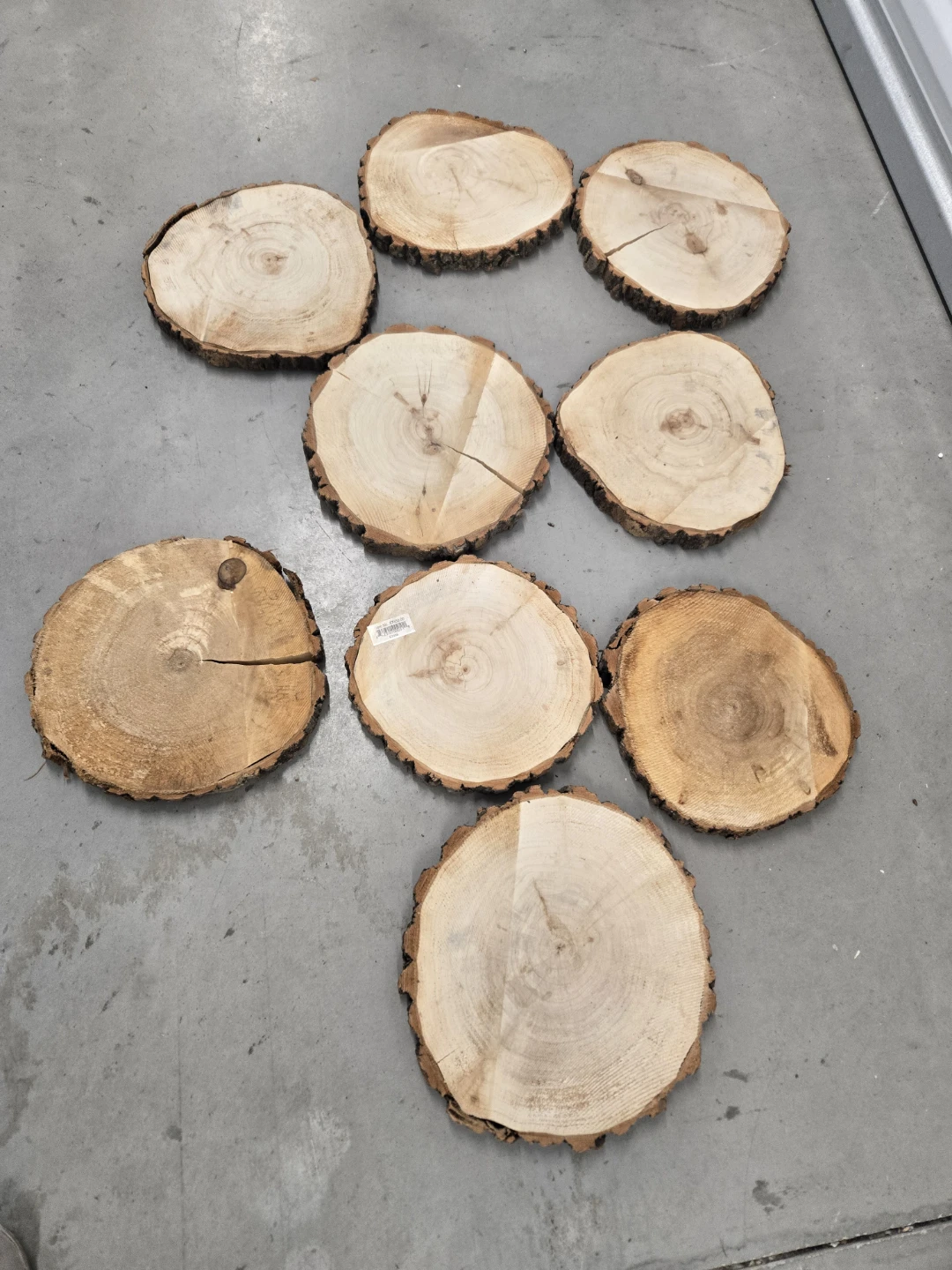 Set of 9 Wood Slice
