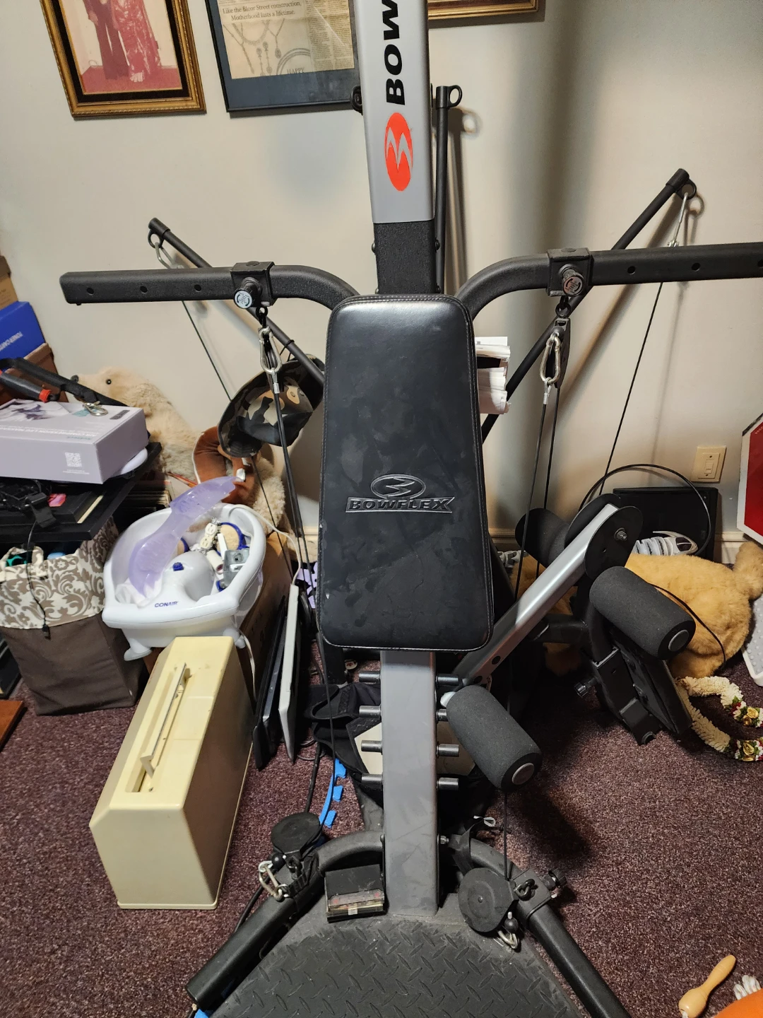 Bowflex Xceed Home Gym - photo 5