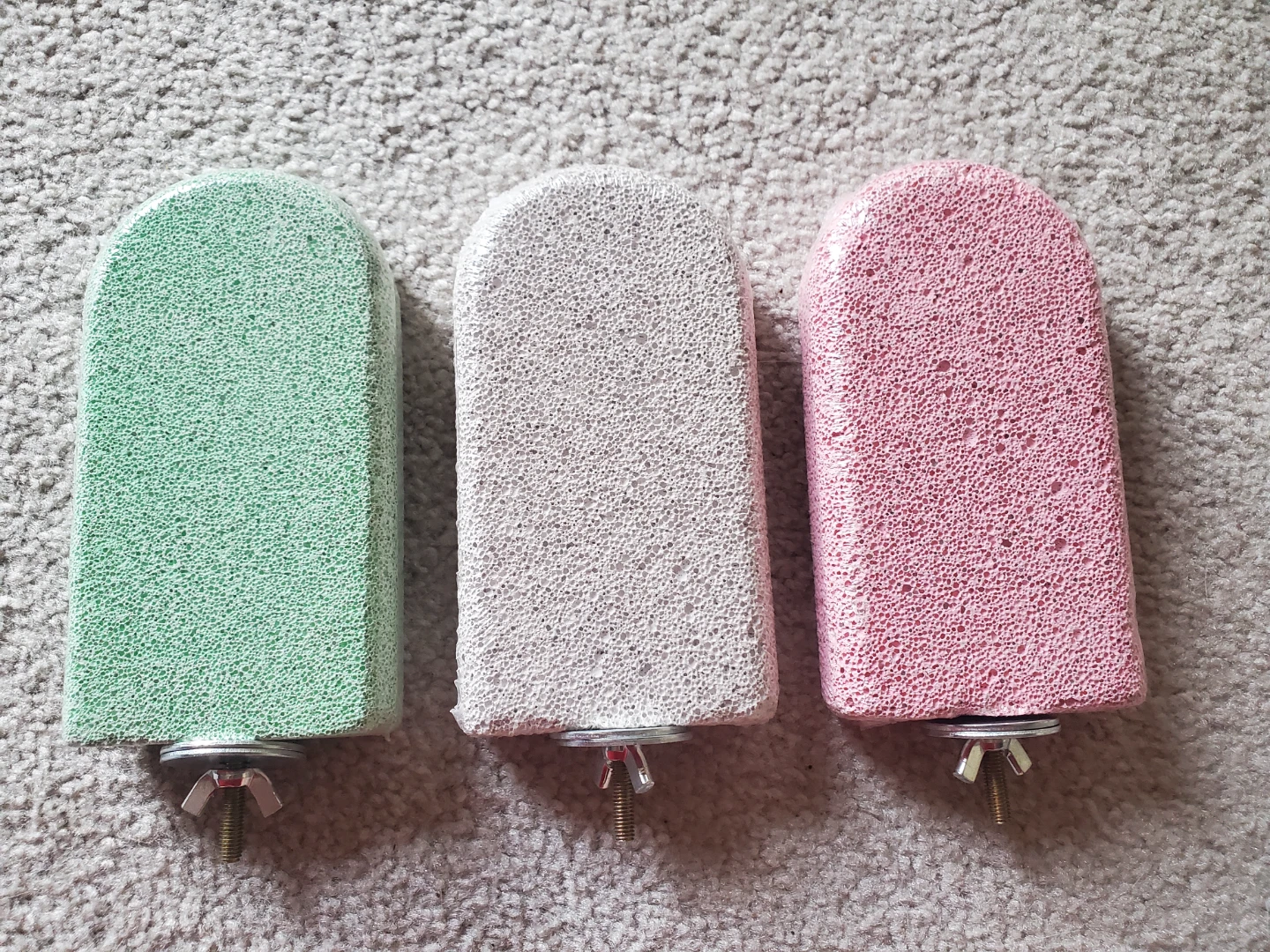 All Living Things Pumice Bird Perch - Green, Pink, Grey - photo 3