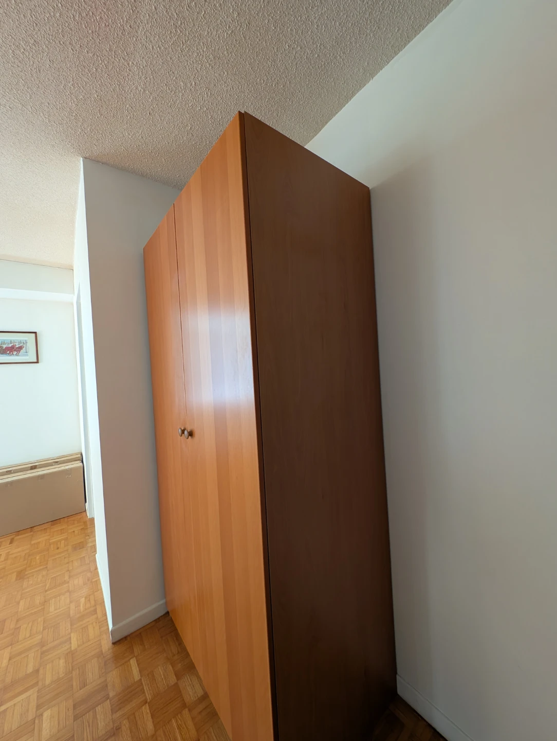 Ikea Light Wood Wardrobe with Double Doors - photo 3