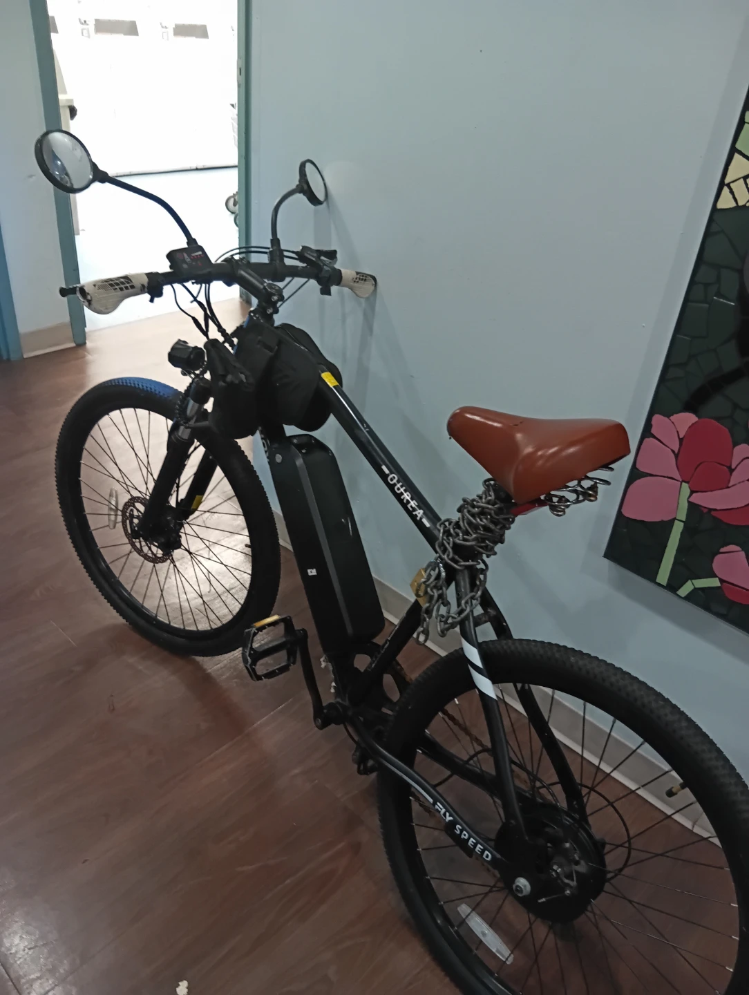 OUREA FLY SPEED Electric Bicycle