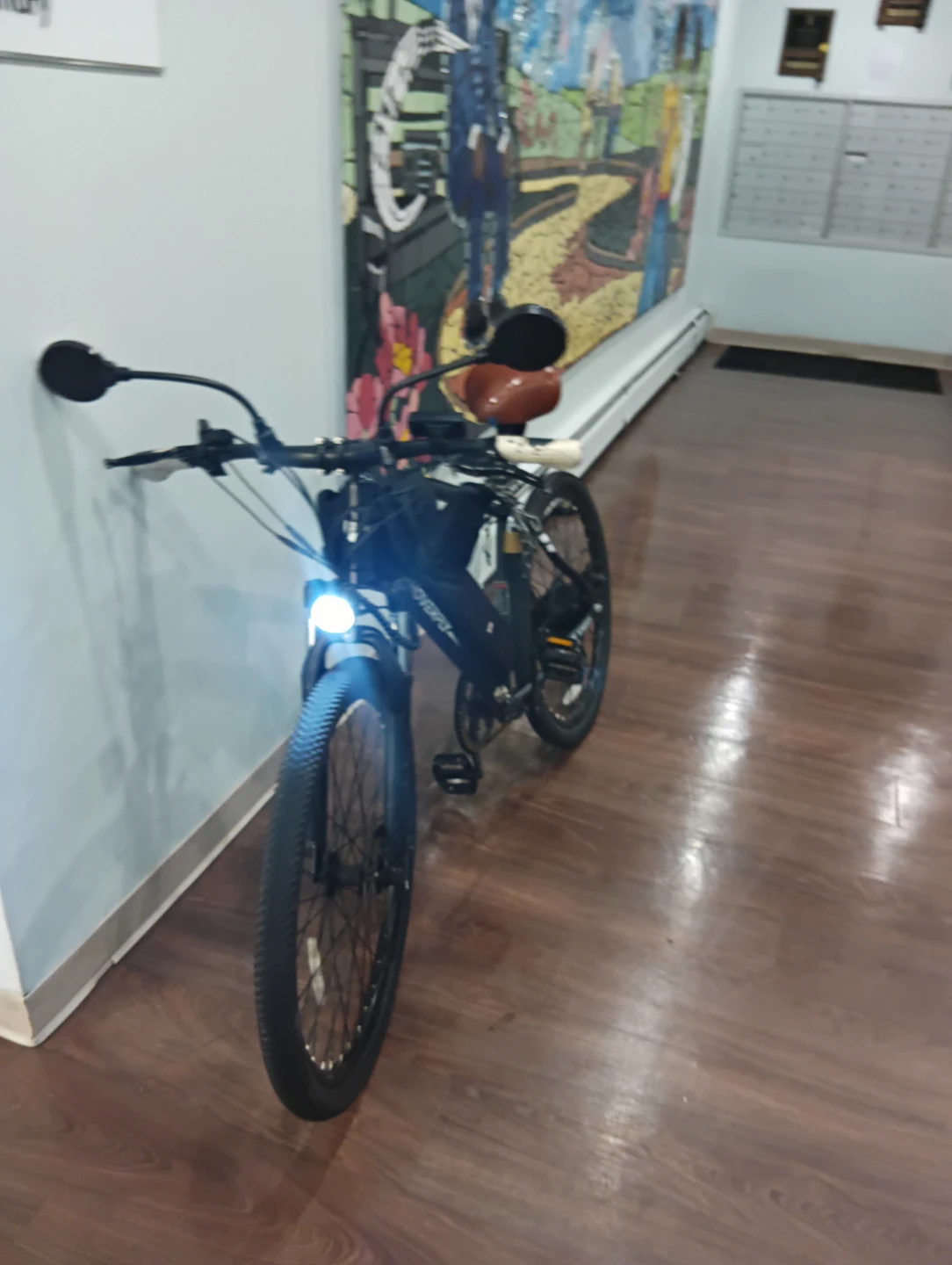 OUREA FLY SPEED Electric Bicycle - photo 2