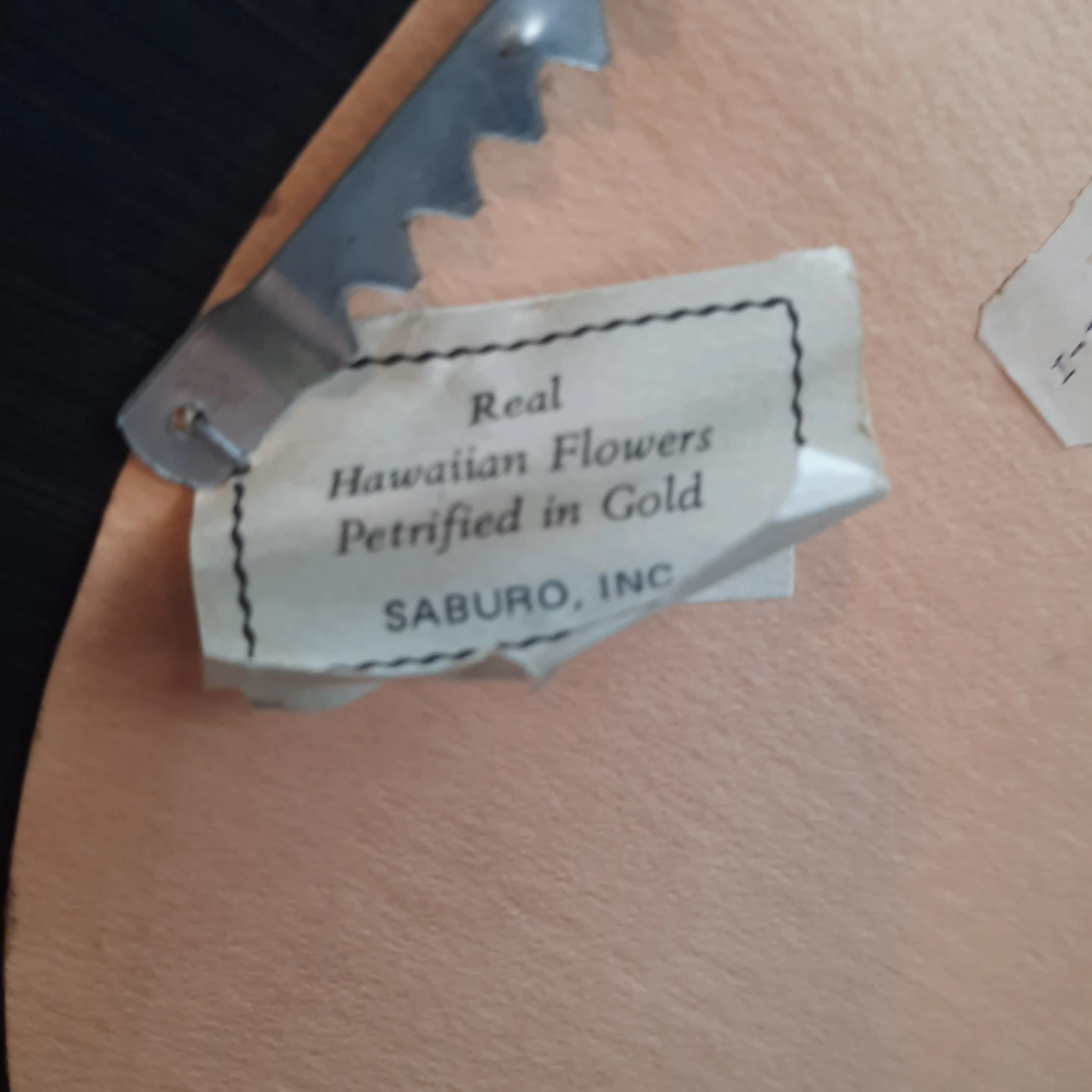 Saburo Inc. Real Hawaiian Flowers Petrified in Gold - photo 4