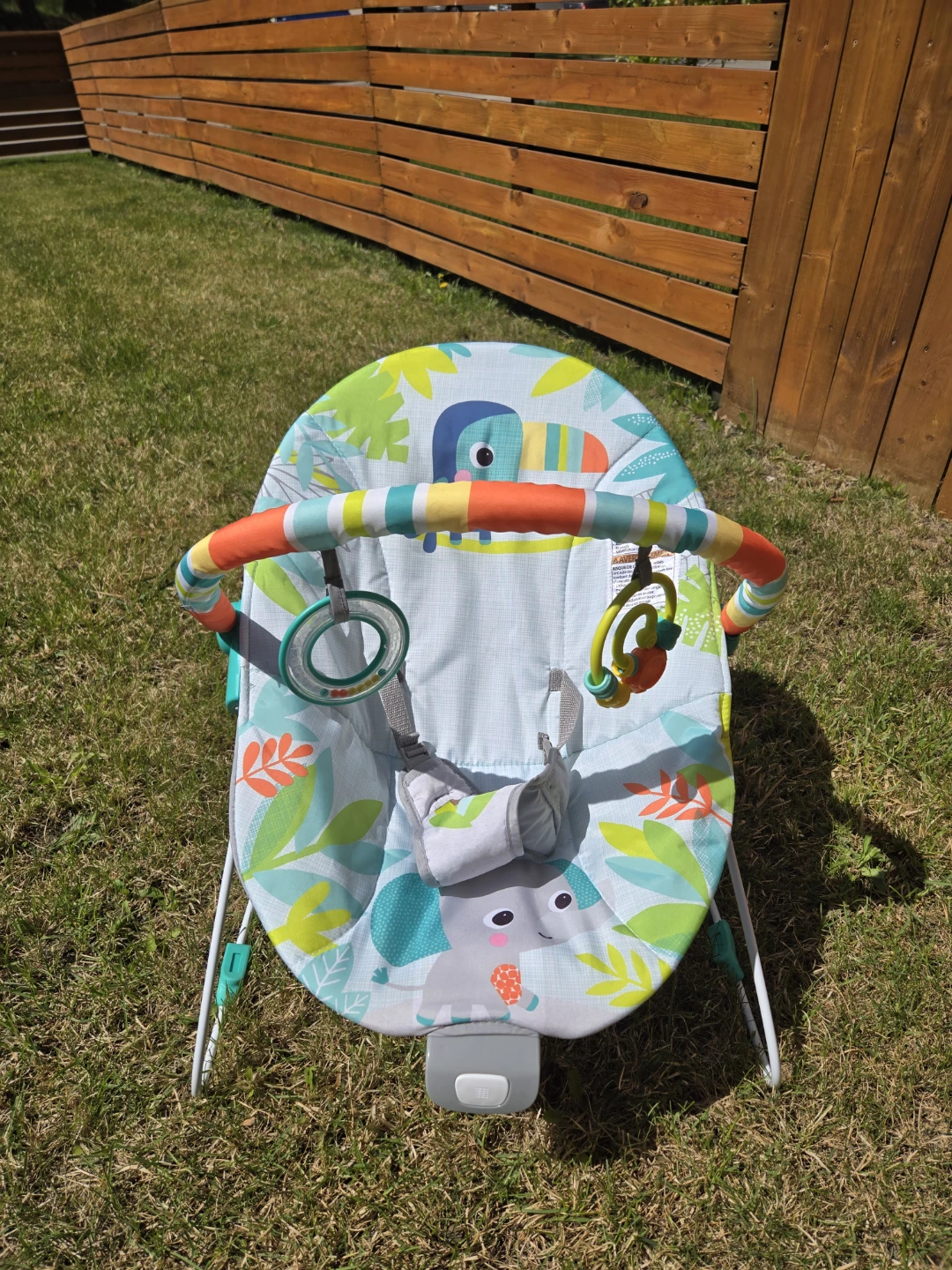 Bright Starts Baby Bouncer