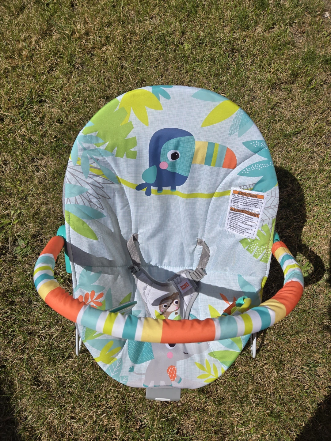 Bright Starts Baby Bouncer - photo 2