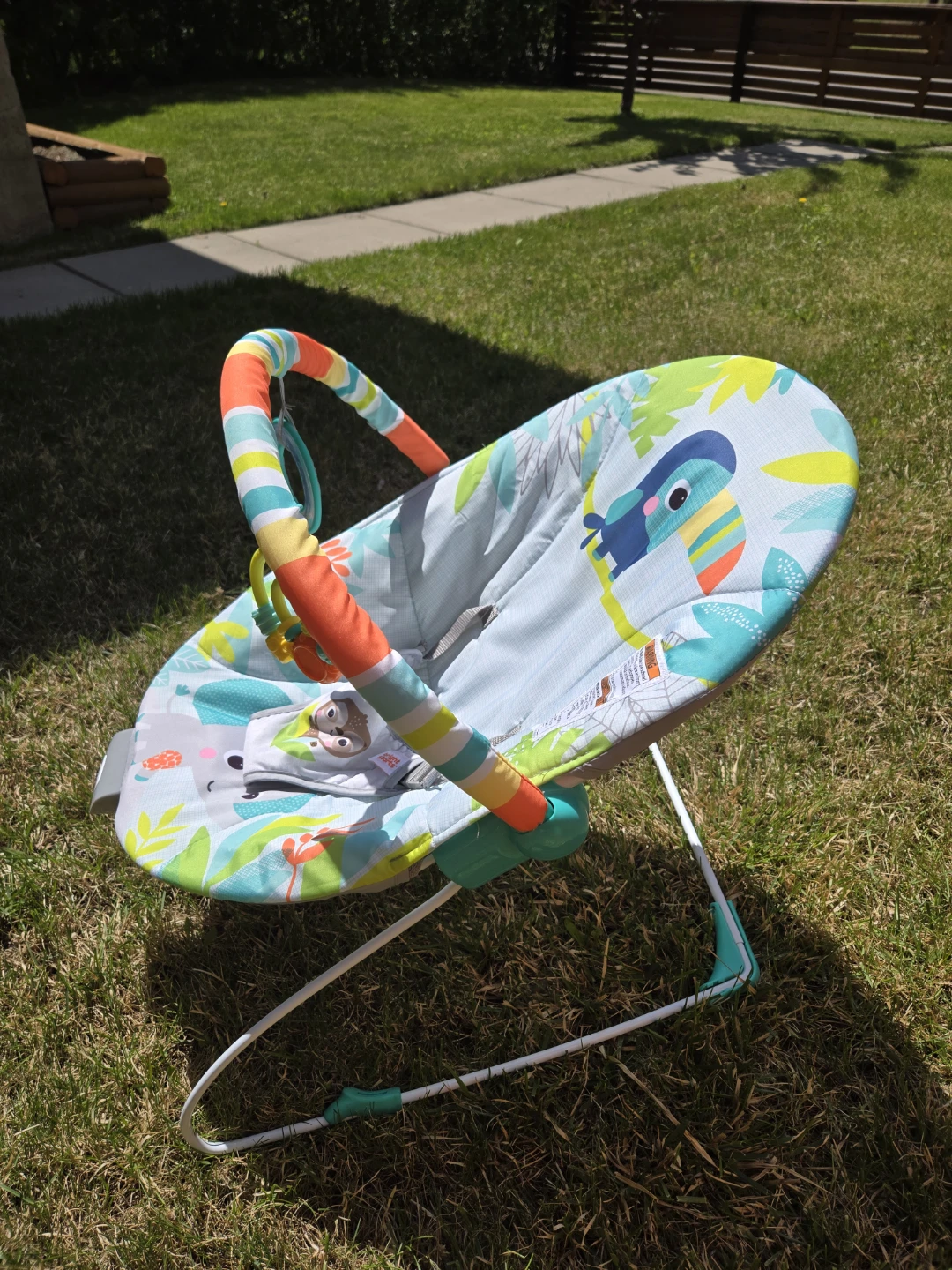 Bright Starts Baby Bouncer - photo 3
