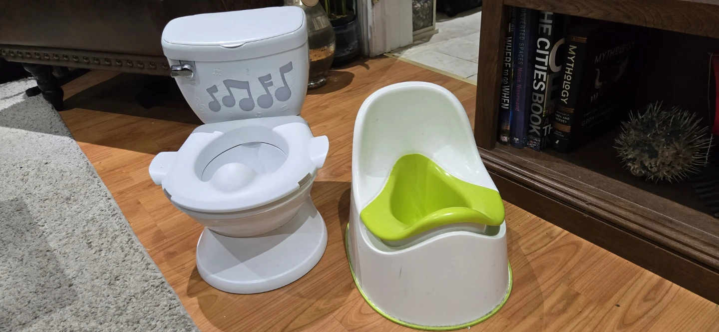 Potty training set: Learn-to-Flush Toilet & a Children's Potty