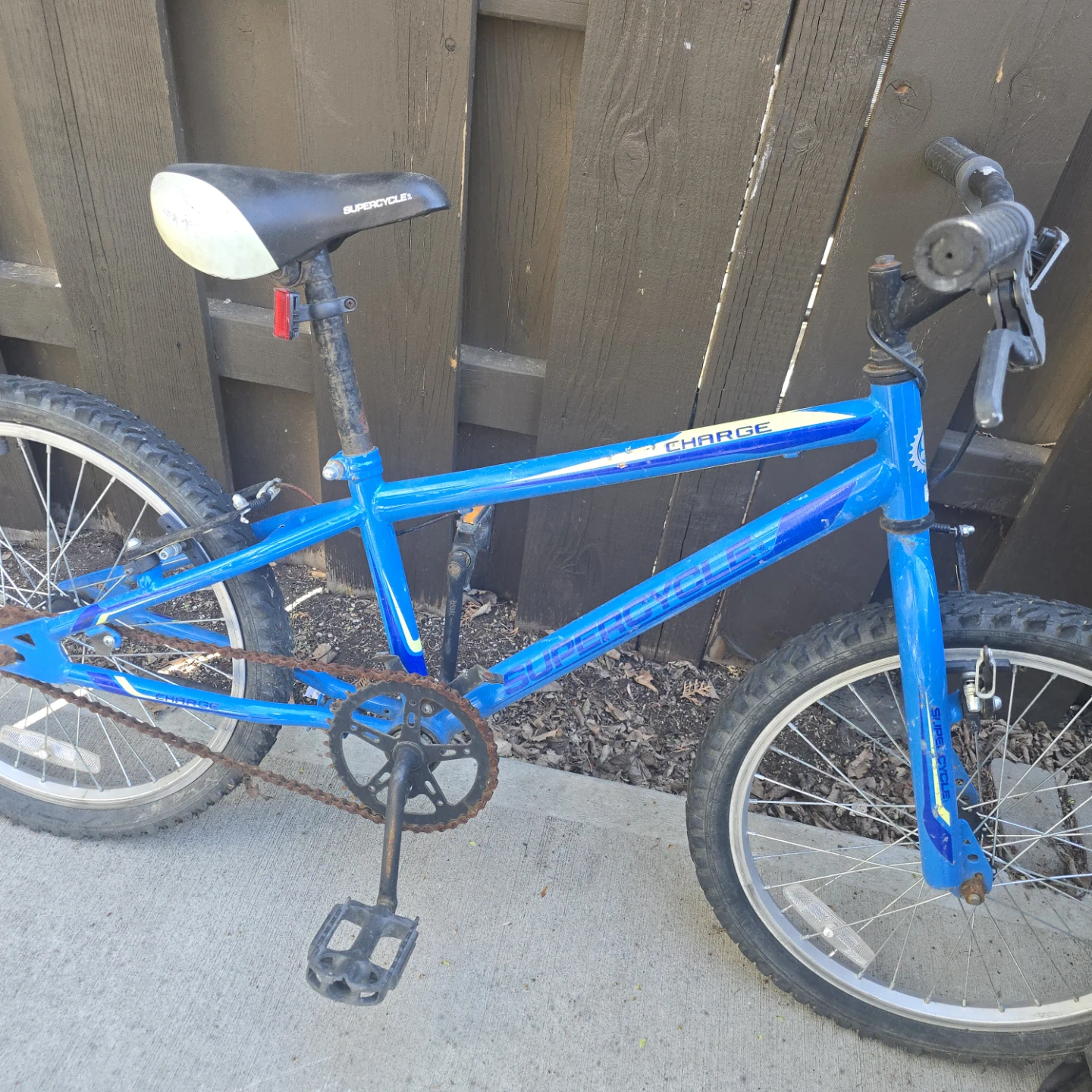 Blue Mountain Bike