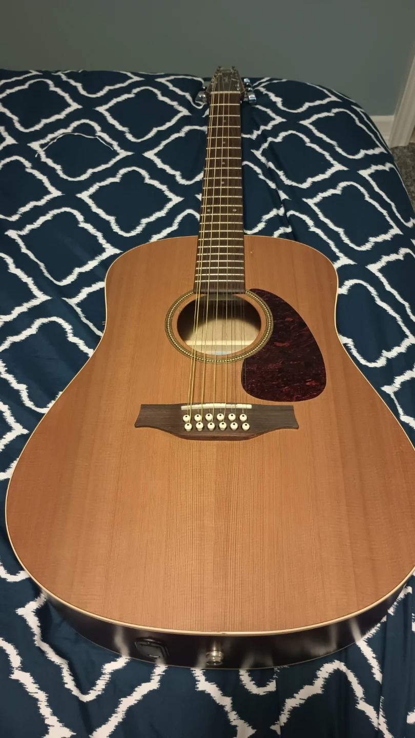 Seagull Coastline S12 Cedar Q1 12-String Acoustic Guitar