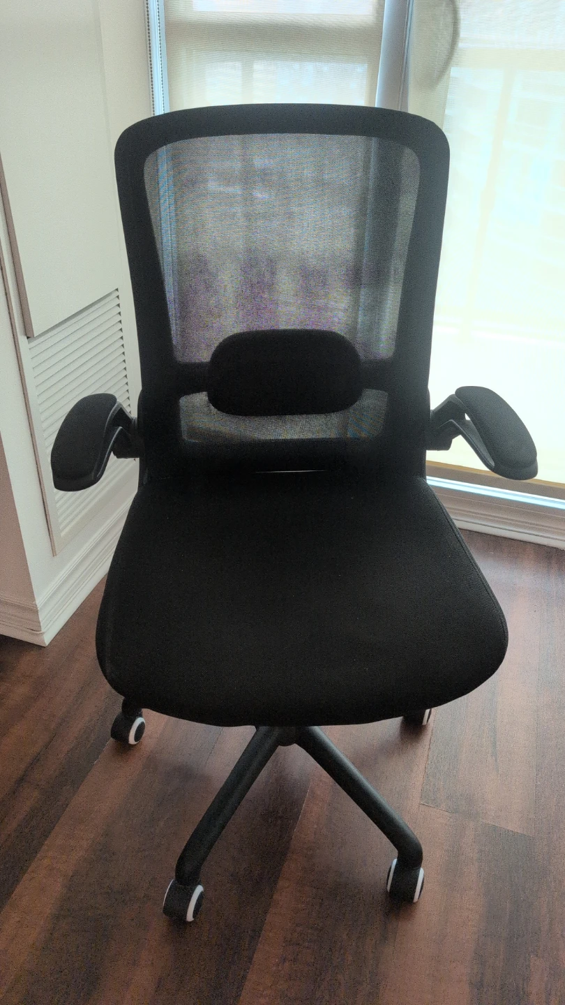 Black Mesh Office Chair with Lumbar Support