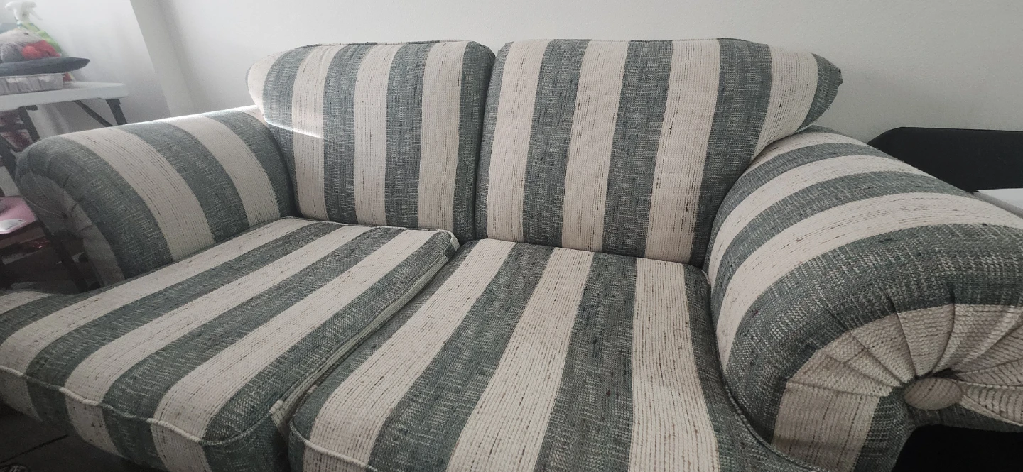 Striped Loveseat Couch