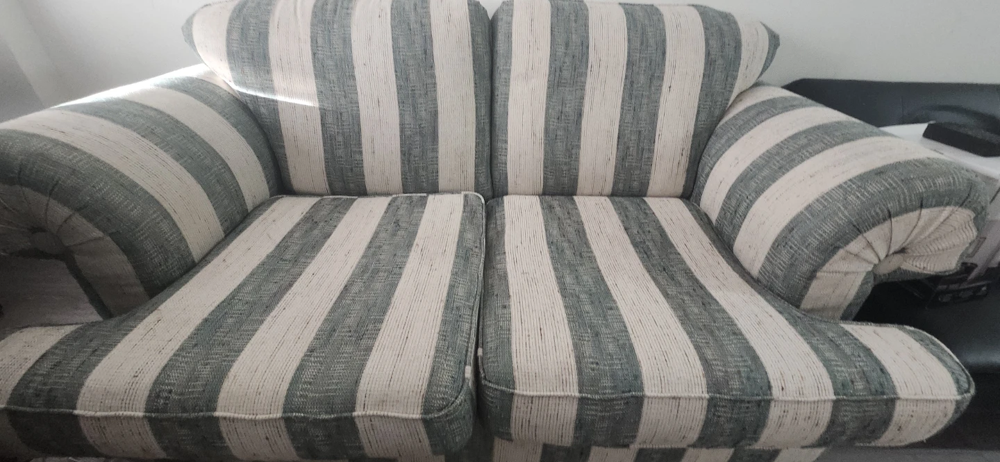Striped Loveseat Couch - photo 2