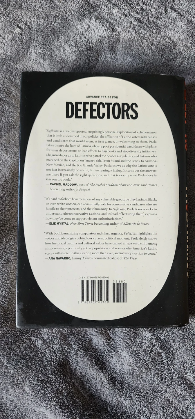 Book Defect RS, by Paola Ramos - photo 2