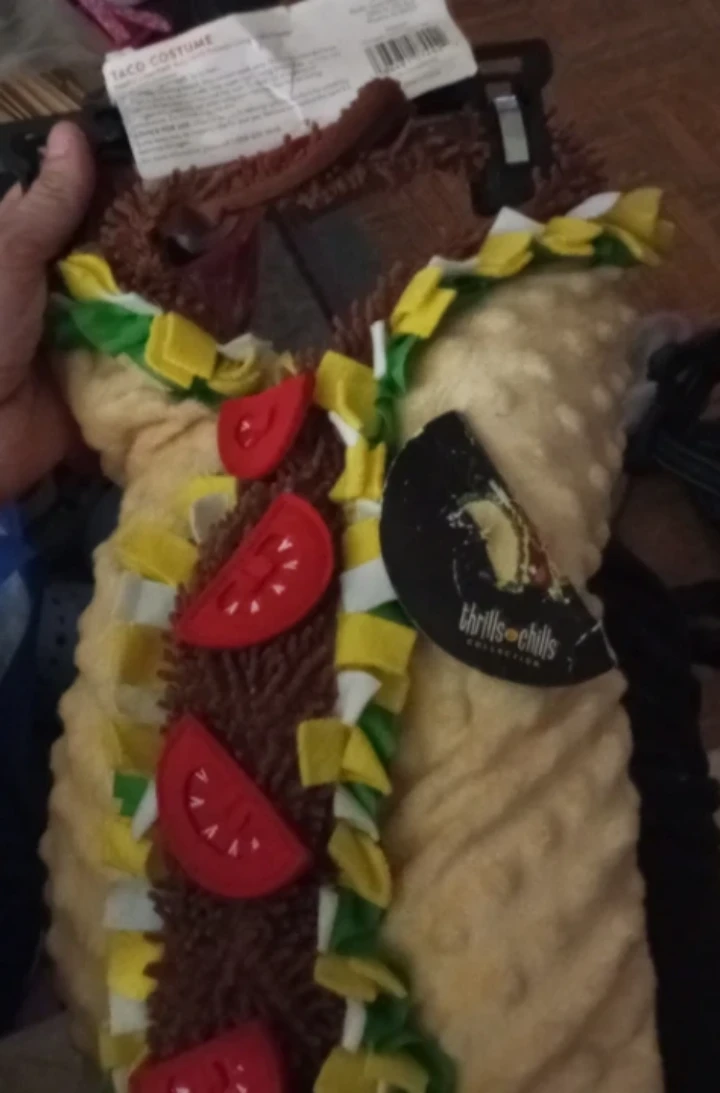 Thrills & Chills Taco Pet Costume - Size S