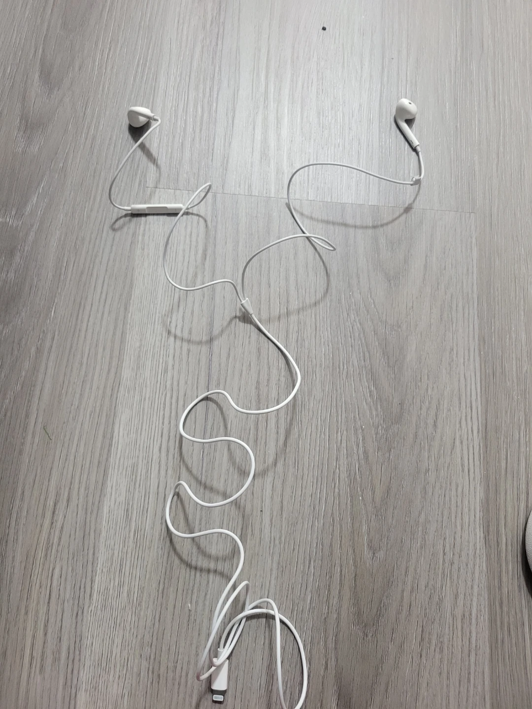 Apple EarPods with Lightning Connector