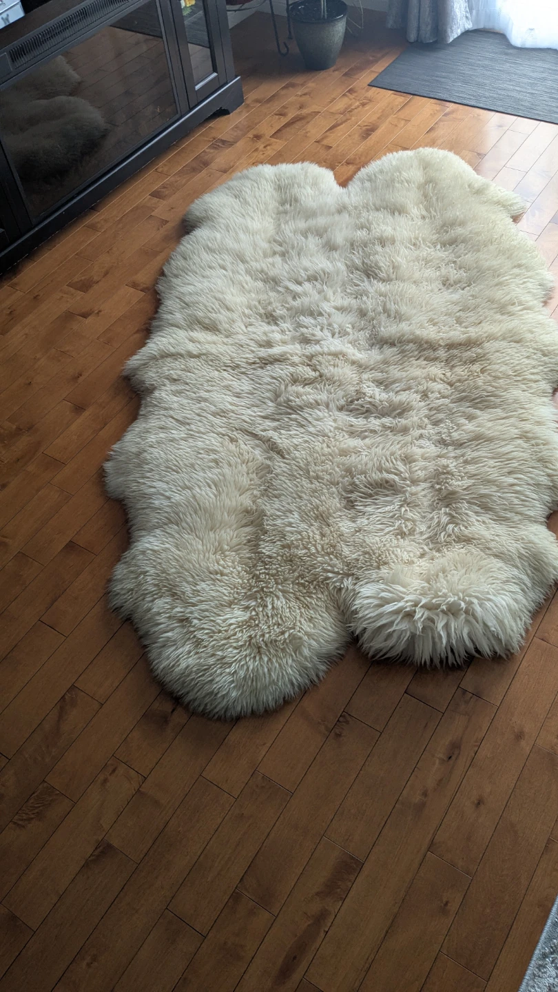 Cream Sheepskin Rug