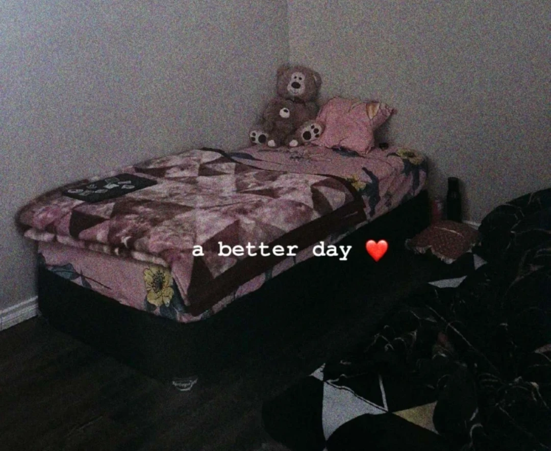 Twin Bed Frame with Mattress