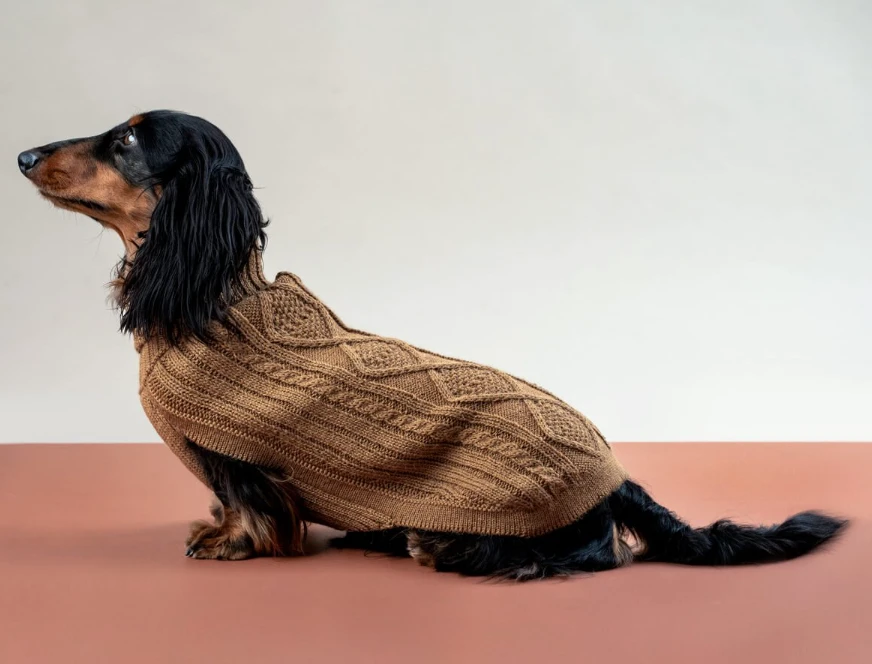 Dog Sweater - Size L - photo 3
