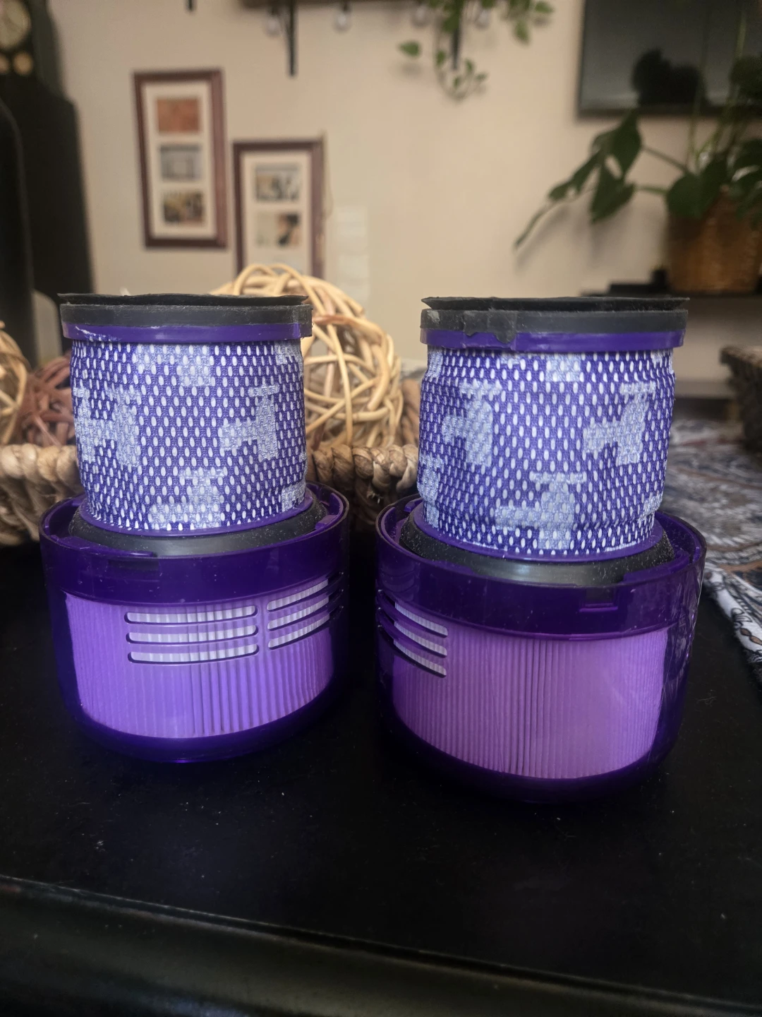 Dyson Vacuum Filter Set
