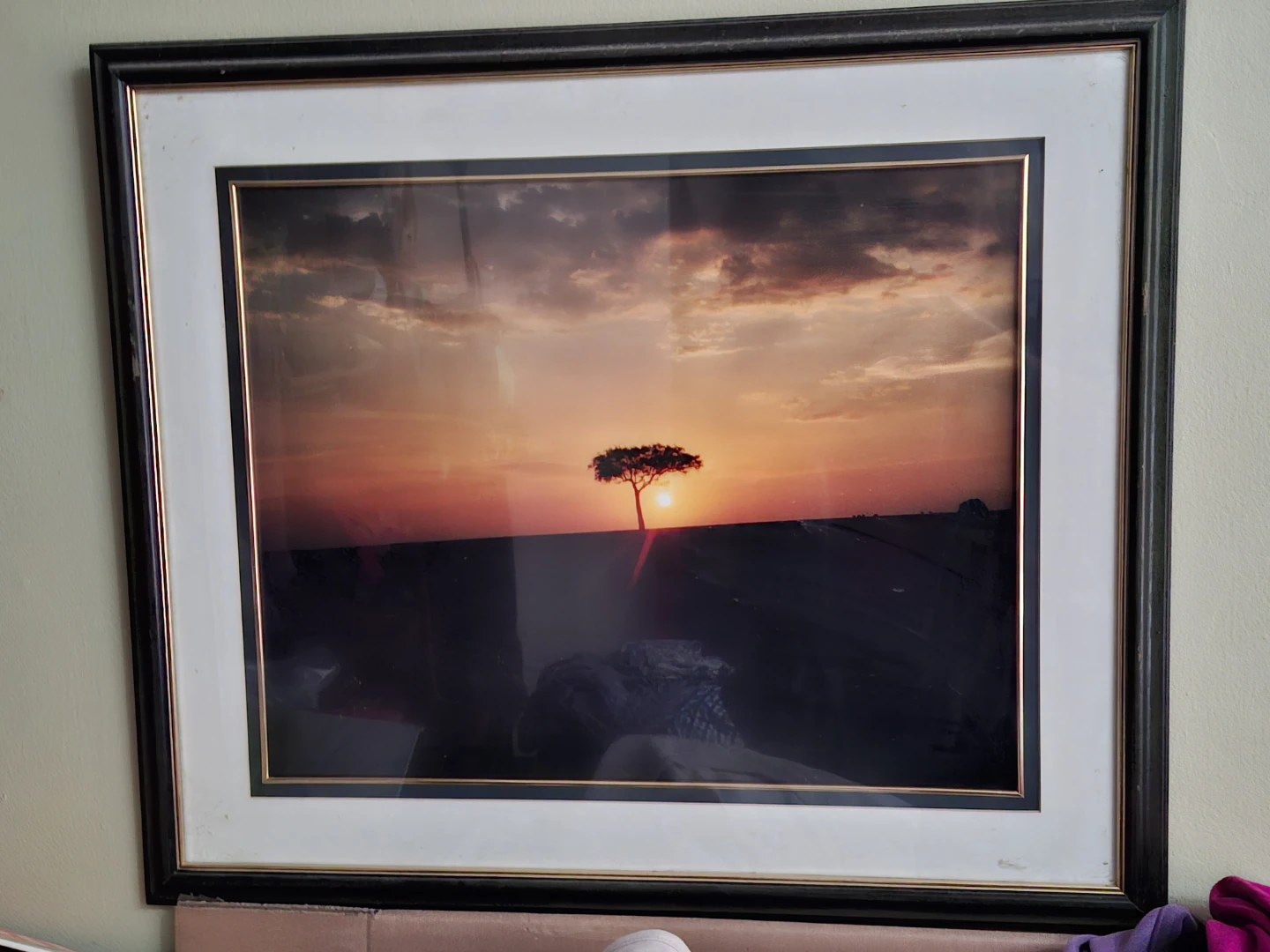 Set of 5 Framed nature prints - photo 5